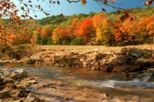 a river with the banks covered in green and yellow and orange trees